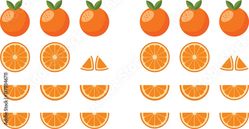 Orange fruit vector collection. Set of whole oranges, slices and segments arranged in pattern style. Bright flat citrus illustrations for packaging, food branding and healthy design.
