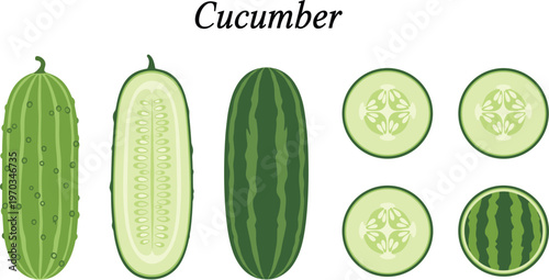 Cucumber flat vector set with label. Whole and sliced green cucumbers collection. Fresh organic vegetable illustration for food, salad and grocery design.