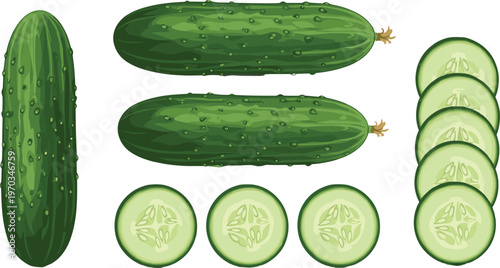 Cucumber whole and sliced flat vector set. Fresh organic green vegetable illustrations. Healthy food ingredient for salad, cooking and grocery design.