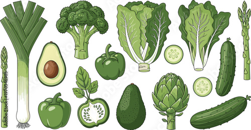 Green vegetables and healthy food flat vector set. Fresh organic produce with avocado broccoli asparagus cucumber and lettuce. Clean eating illustration for grocery and nutrition design.
