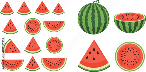 Watermelon fruit vector collection with slices and whole melons. Bright flat style with juicy red pulp and green rind. Perfect for summer food design, packaging, and fresh visuals.