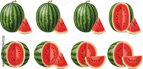 Watermelon whole and sliced fruit vector set. Realistic juicy red interior with green striped rind. Great for summer food design, grocery visuals, and fresh organic branding.
