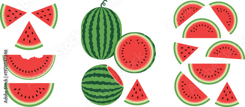 Watermelon slices and whole fruit vector collection. Bright juicy red flesh with green rind in flat style. Perfect for summer design, food branding, and refreshing product visuals.