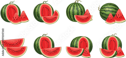 Watermelon slices and whole fruit vector set. Fresh juicy summer fruit illustrations with realistic red pulp and green rind. Perfect for food design, menus, and healthy lifestyle graphics.