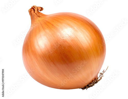 Yellow onion bulb, raw whole vegetable, food ingredient
