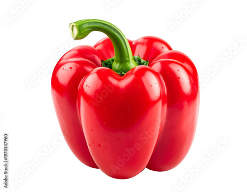 Fresh red bell pepper with water drops