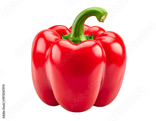 Fresh red bell pepper with green stem