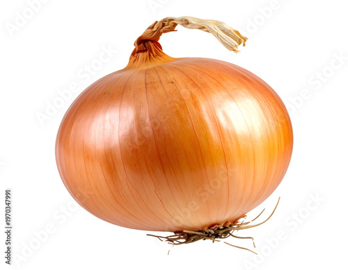 Yellow onion bulb, organic vegetable cooking ingredient