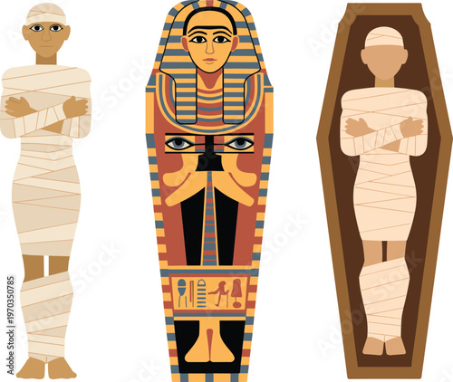 Ancient Egyptian mummy and sarcophagus illustration, wrapped mummies with coffin and pharaoh design, historical Egypt burial concept, archaeology culture vector