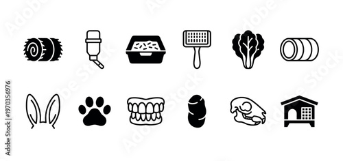 Set of black rabbit care icons showing pet supplies and anatomy in a minimalist glyph style for veterinary or pet shop concepts, including hay, hutch, skull, and teeth