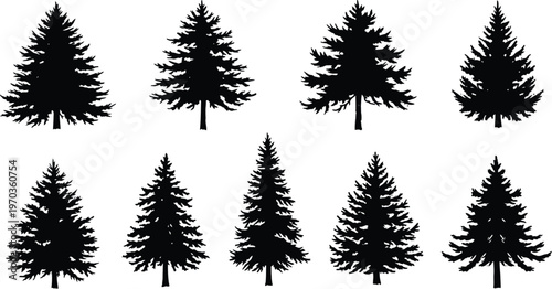 Forest silhouette collection of detailed pine and fir tree outlines