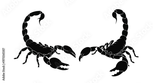 Two scorpions facing each other a striking black graphic silhouette