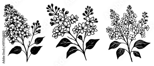 Lilac Flower Branches Set Spring Syringa Botanical Floral Elements Vector Illustration