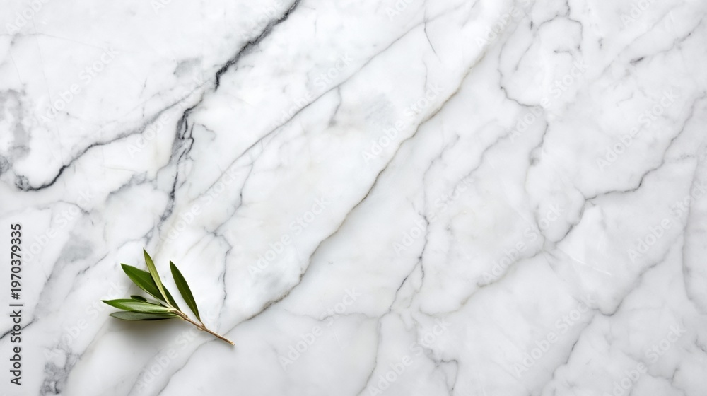 Fototapeta premium White marble texture with single green leaf branch
