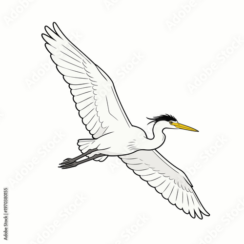 stork vector image