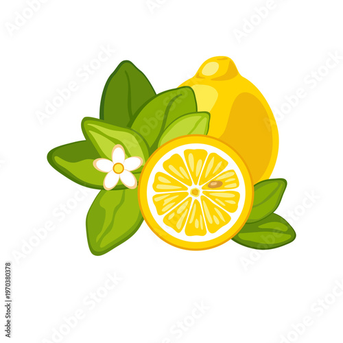 Lemon, Vector illustration of a lemon