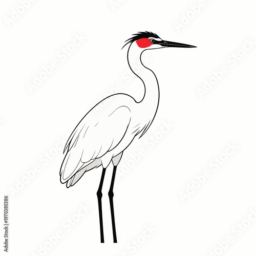 stork vector image