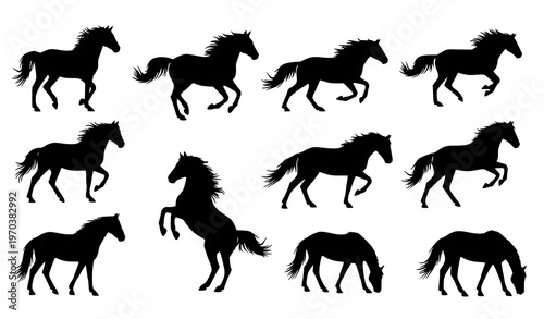 Black horse silhouette set running standing jumping equine vector isolated on white