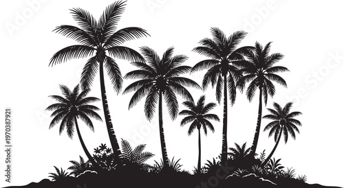 Tropical palm trees silhouettes on white background