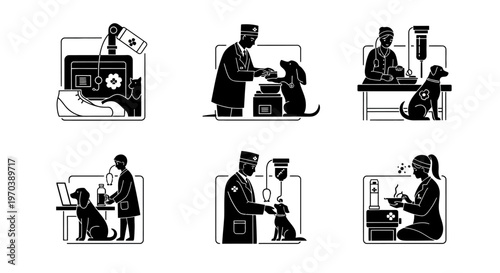 Vector icons illustrating professional veterinary animal health services and essential pet care, featuring medical examinations, IV drips, feeding, and treatment administration within a clinic setting