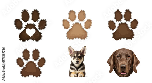 Collection of paw print icons and dog faces, perfect for pet-related designs and branding