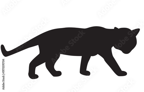Black Silhouette of a Walking Panther