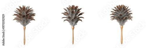 Foto Set of Feather Dusters with Wooden Handles Isolated Transparent Background PNG