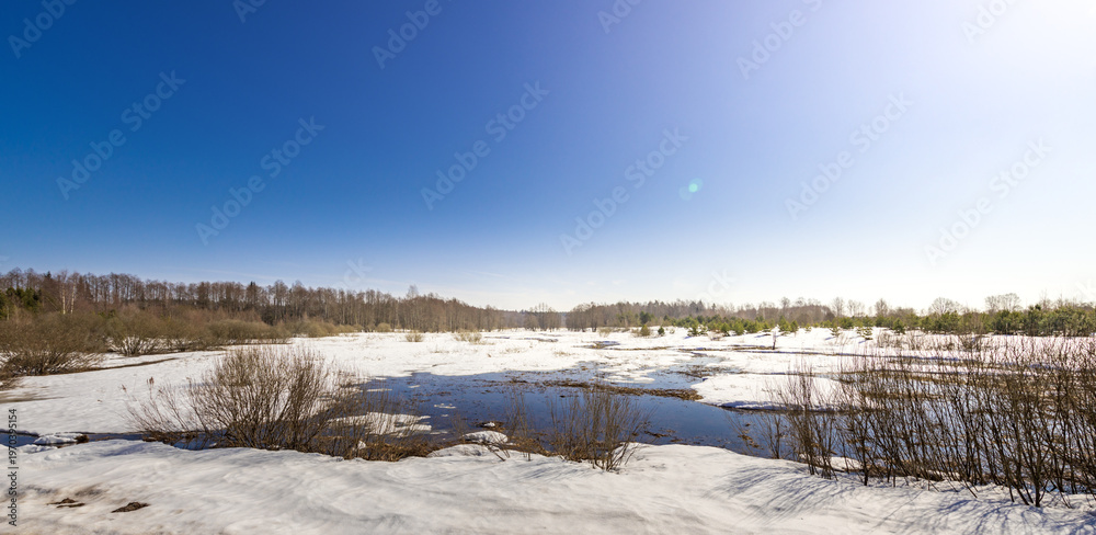 Obraz premium Wetland in winter: snow covers ground, water reflects sky, shrubs stand bare