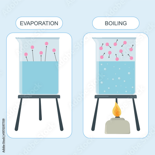 Comparative Analysis of Evaporation and Boiling: Molecular Phase Change Diagram