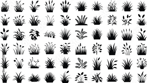 Grass and plant silhouette collection, black botanical foliage bushes and reeds set in vector for landscape design, nature illustration elements