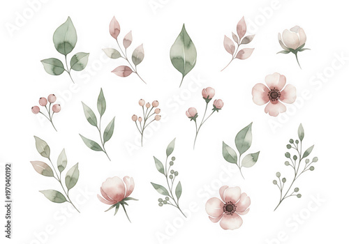 Assorted floral illustrations with delicate stems and leaves in pastel colors