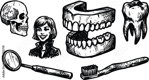 Dental instruments and teeth set including skull dentures molar mirror and toothbrush black and white vector art