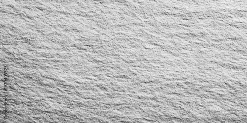 Textured, undulating surface, a grayscale stone slab captures the essence of natural patterns. The rugged texture of the stone adds a sense of depth and dimension.