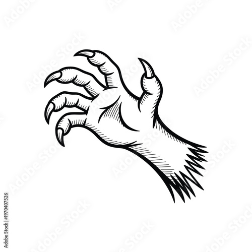 Clawed hand with sharp nails on white background