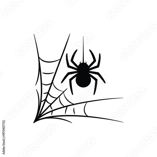Black spider hanging from web on white background for Halloween