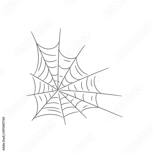 Intricate spider web illustration on white background