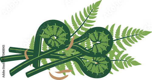 An artistic illustration of a bundle of ferns with green fronds tied together