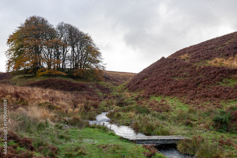 custom made wallpaper toronto digitalPhoto of the Three Combes Foot in Exmoor National Park