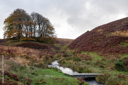 Wallpaper Mural Photo of the Three Combes Foot in Exmoor National Park Torontodigital.ca