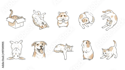 Charming collection of adorable pets in playful poses hand-drawn and isolated on white