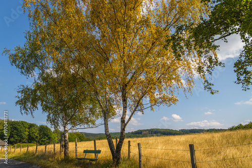 Fotografie Sommer im Sauerland