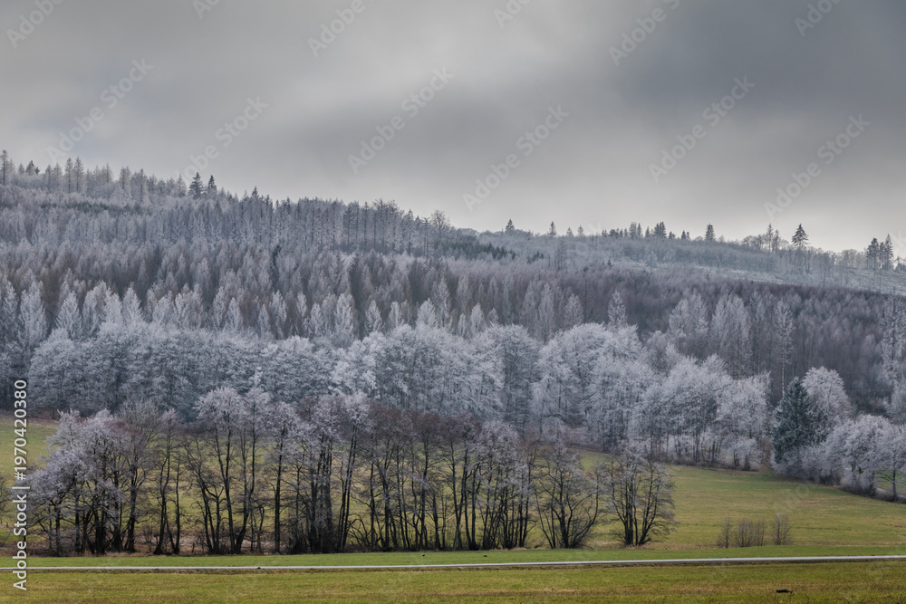 Fototapeta premium Winter im Sauerland