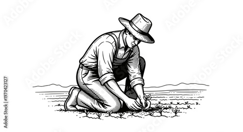Vintage Engraving of a Farmer Kneeling in a Field Planting Young Crops, Woodcut Style Illustration of Sustainable Agriculture and Manual Labor