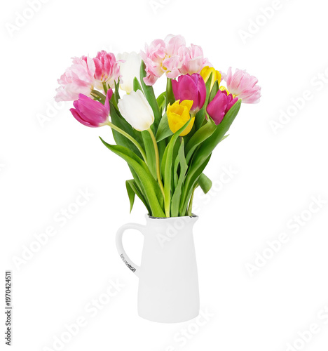 Colorful Tulips in White Vase on Isolated Background