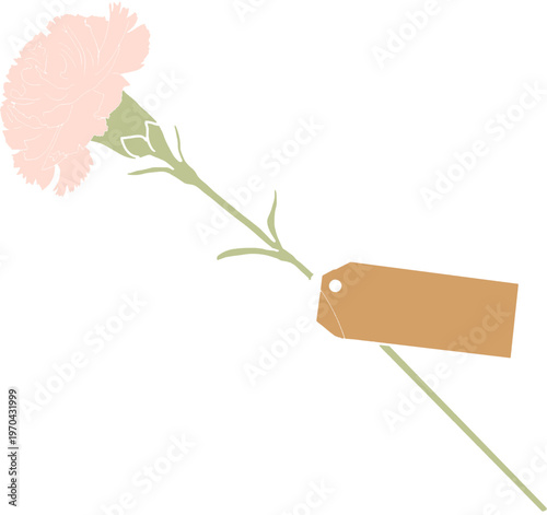 가정의달 어버이날 스승의날 카네이션