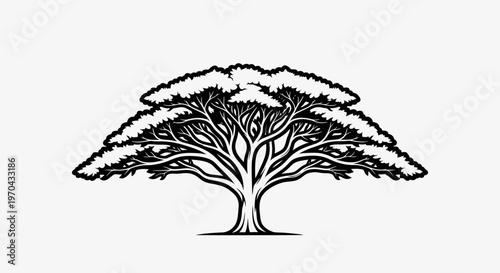 Detailed Stylized Tree Illustration, Black and White Vector Graphic with Wide Spreading Canopy. Iconic African Savanna Tree Symbol.