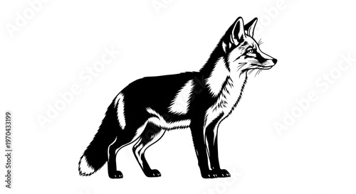 Stylish black and white graphic illustration of a standing wild fox in profile, elegant animal artwork, vector wildlife design element