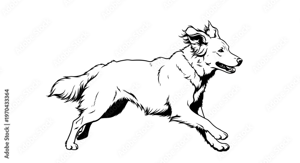 Fototapeta premium Energetic Running Dog Line Art Illustration on White Background, Black and White Dynamic Pet Sketch, Canine in Motion Drawing