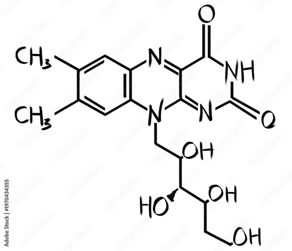Εκτύπωση καμβά Skeletal formula of riboflavin (vitamin B) on white background