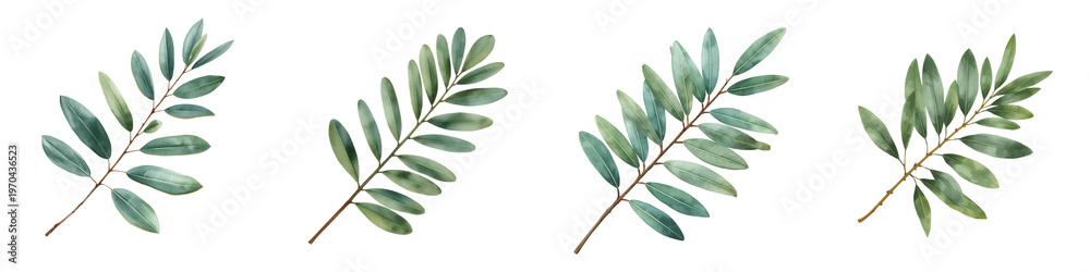 Fototapeta premium Four delicate eucalyptus branches with leaves against a dark background, showcasing botanical elegance